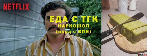 индика Гусиноозёрск